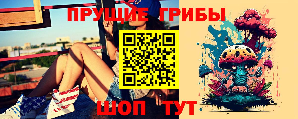 Полысаево  Псилоцибиновые грибы Psilocybine cubensis  Псилоцибиновые грибы Psilocybe  Вход с VPN 